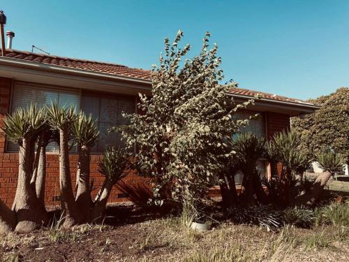 a house with palm trees in front of it at Y&Y Holiday House in Craigieburn