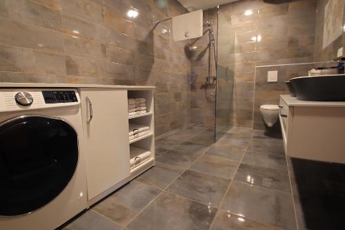 y baño con lavadora y lavamanos. en Cirus apartments en Kočevje