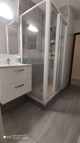 La salle de bains est pourvue d'une douche et d'un lavabo blanc. dans l'établissement Jamal, à Montélimar
