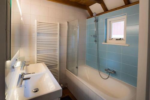 een badkamer met een wastafel, een douche en een bad bij Zentopia: vakantiehuis met wellness en meer. in Hulshorst