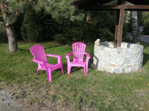 two pink chairs sitting in the grass next to a fountain at Ferienhaus "Martha" in Berndshof
