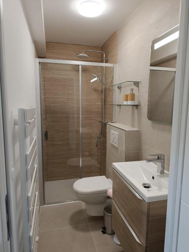 une salle de bain avec une douche, des toilettes et un lavabo dans l'établissement appartement centre ste maxime, 100 m de la plage, à Sainte-Maxime