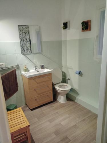 La salle de bains est pourvue de toilettes, d'un lavabo et d'un miroir. dans l'établissement chez lulu, à Saint-Saturnin-lès-Apt