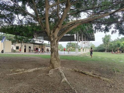 a tree in the middle of a park at Transient in Bria Homes in General Santos