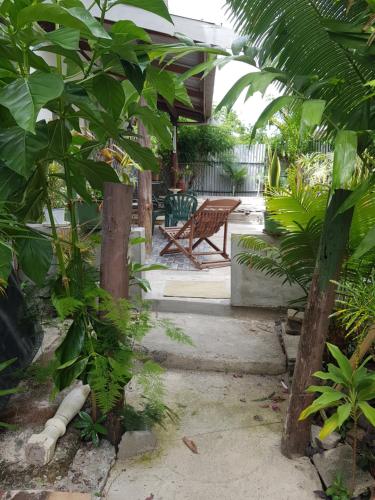 a garden with a bench and some plants at Martintar Apartment Lodge 1 in Nadi