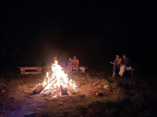 un grupo de personas sentadas alrededor de un fuego por la noche en Cabana Țibleș, 
