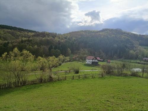 una casa blanca en una colina en un campo en Cabana Țibleș, 