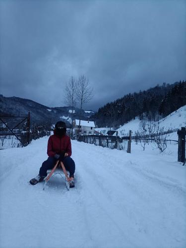 una persona sentada en una silla en la nieve en Cabana Țibleș, 