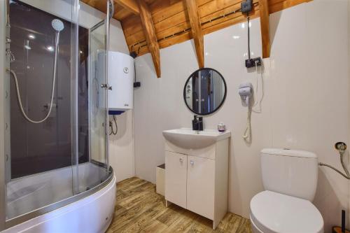 a bathroom with a shower and a toilet and a sink at Domki Na Grapie in Międzybrodzie Bialskie