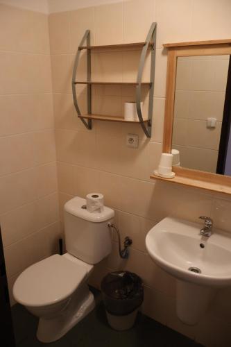 a bathroom with a toilet and a sink at Penzion Jizera Malá Skála in Malá Skála