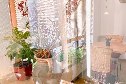 Φωτογραφία από το άλμπουμ του Alte Drogerie Hotel Garni σε Anholt