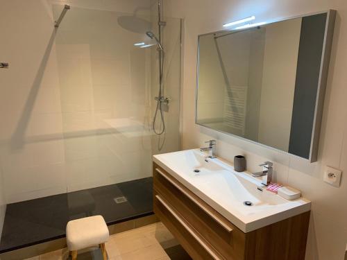 une salle de bain avec un lavabo, une douche et un miroir dans l'établissement Digue, à Wimereux