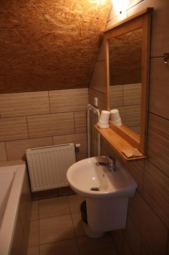 a small bathroom with a sink and a mirror at Penzion Jizera Malá Skála in Malá Skála