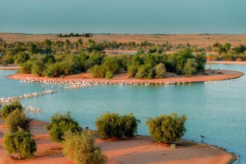 Gallery image of Al Qudra Lakes Camping by Hyba in Dubai