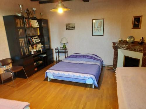 une chambre avec un lit et une cheminée dans l'établissement Maison de campagne avec jardin, à Montauban
