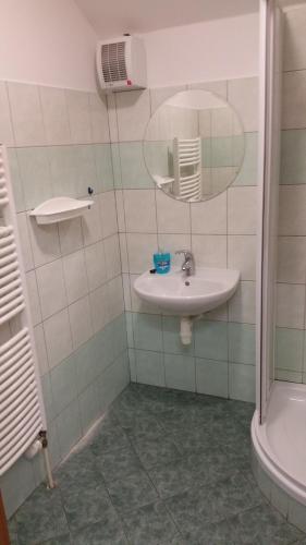 a bathroom with a sink and a mirror at Penzion Na nádraží in Loučná nad Desnou