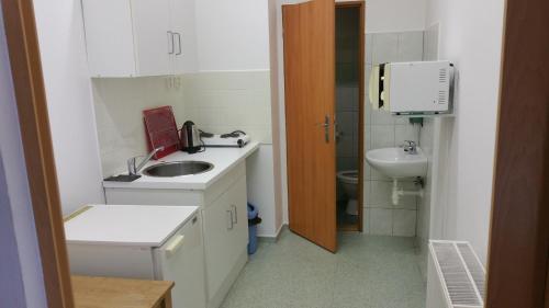 een kleine badkamer met een wastafel en een toilet bij Penzion Na nádraží in Loučná nad Desnou