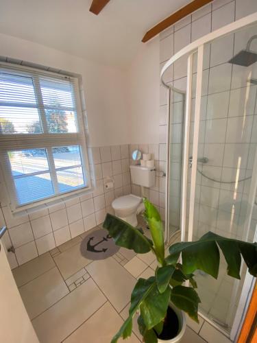 a bathroom with a toilet and a plant in it at Ferienhaus Banana Lodge in Bruchhausen-Vilsen