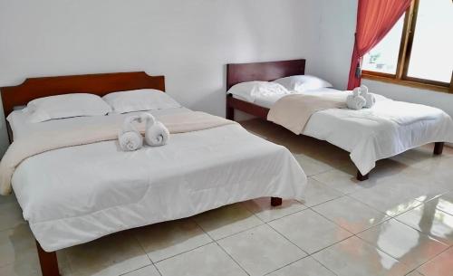 two beds with white sheets and stuffed animals on them at Tangkoko Homestay in Rinondoran