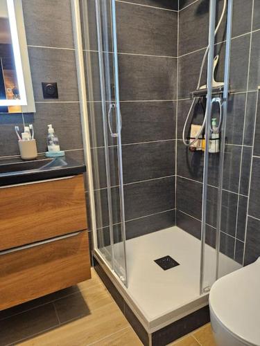 L'écrin appartement 4 chambres 4 salles d eau