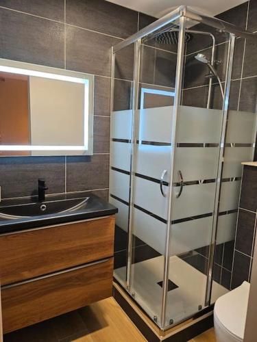 une salle de bain avec douche et lavabo dans l'établissement L'écrin appartement 4 chambres 4 salles d eau, à Les Deux Alpes