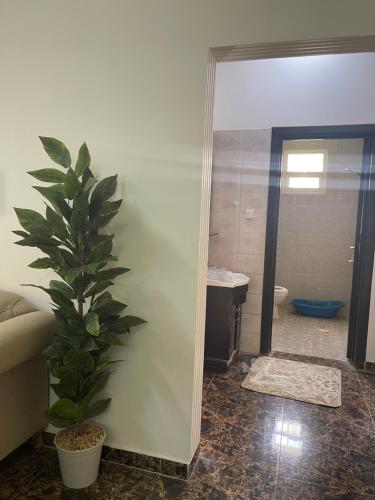 uma casa de banho com uma planta no canto de um quarto em شقة غرفتين نوم و دورة مياه و صاله كبيره ومطبخ حي الرمال بالرياض em Riyadh