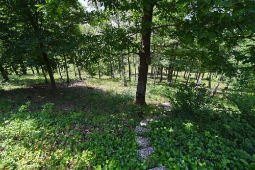a path through a forest with trees and grass at Chateau Angelus in Barvaux
