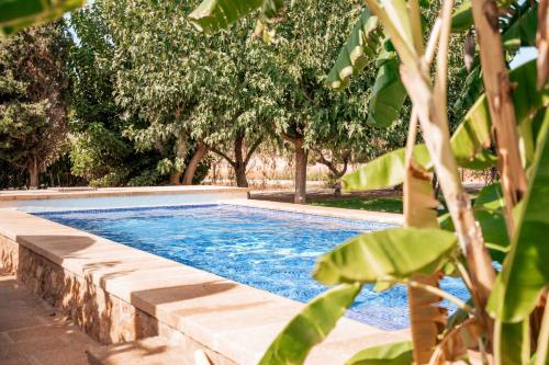 Bazén v ubytování Agroturisme Son Barceló Mas nebo v jeho okolí