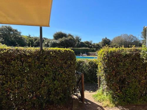 un seto con sombrilla frente a una piscina en Suite del Mascherino en Monte Argentario