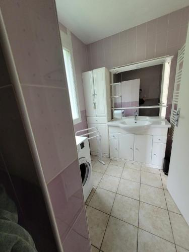une salle de bain avec un lavabo et une machine à laver dans l'établissement Charmante Maison - Evasion nature et confort, à Saint-Jean-de-Monts