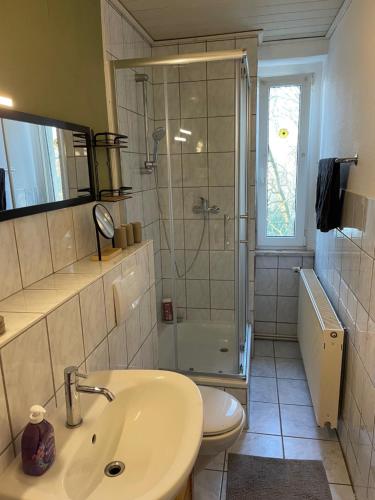 y baño con lavabo, ducha y aseo. en Stylisches Appartement "Johanna" in Weißenfels en Weißenfels