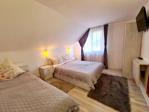 a bedroom with two beds and a window at Vila Giulia Voineasa in Voineasa