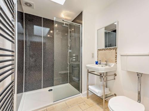 a bathroom with a shower and a toilet and a sink at 2 Bed in Ventnor 88857 in Niton