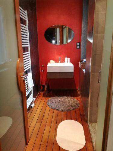 ein Badezimmer mit einem Waschbecken und einer roten Wand in der Unterkunft "Côté nature", appartement cosy au cœur de Munster in Munster