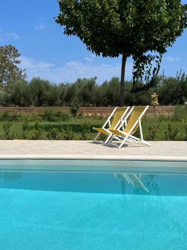 two chairs and a tree next to a swimming pool at Katikies Savrani in Perivólia