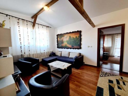 a living room with a couch and a table at Vila Giulia Voineasa in Voineasa