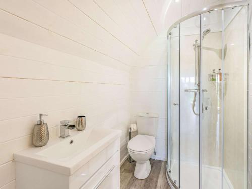 ein weißes Bad mit einem WC und einer Dusche in der Unterkunft 1 Bed in Bude 89791 in Hollacombe