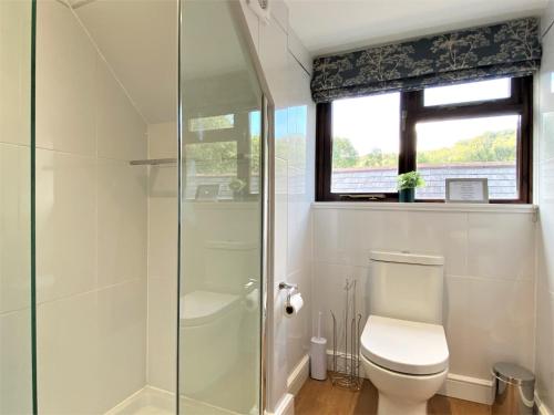 a bathroom with a toilet and a glass shower at 1 Bed in Exmoor National Park 89766 in Parracombe