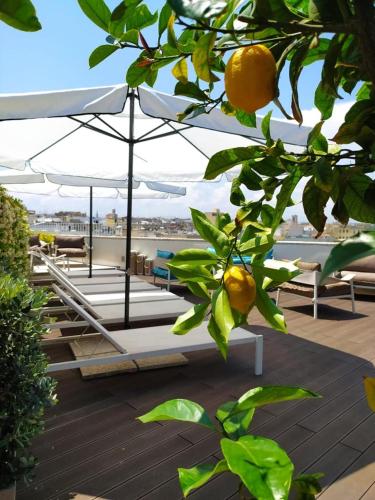 DOGANA RESORT – Fotoşəkillər 3