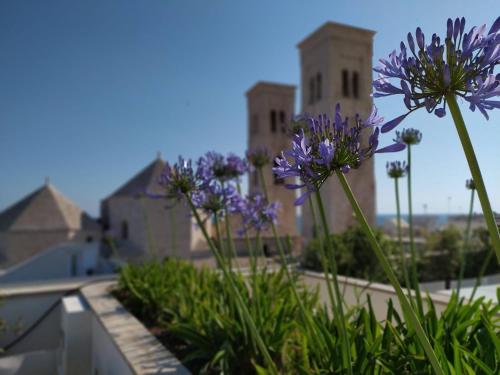 DOGANA RESORT – Fotoşəkillər 4