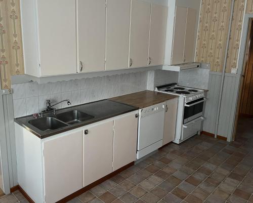 a kitchen with a sink and a stove at House in the middle of forests and lakes 