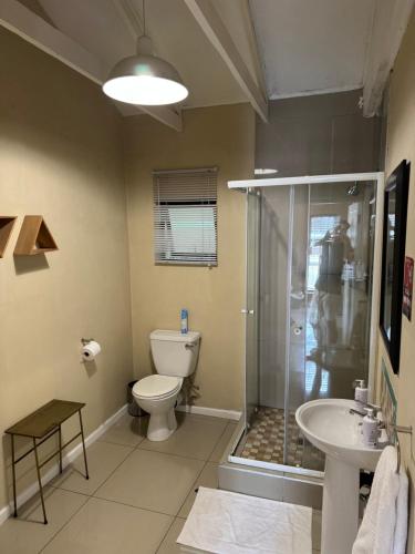 a bathroom with a toilet and a shower and a sink at Fish Eagle Manor in East London
