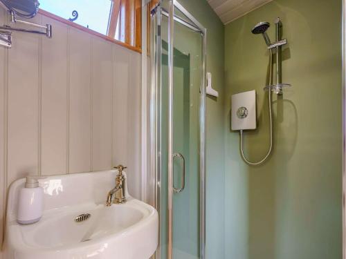 a bathroom with a shower and a sink at 1 Bed in Newchurch 89932 in Newchurch