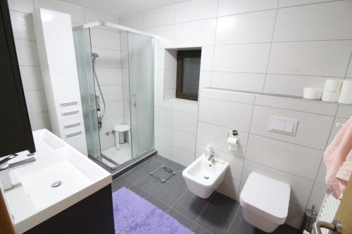 Baño blanco con aseo y lavamanos en VILLA OTOK WITH POOL, TOP LUXURY IN TREBINJE en Trebinje