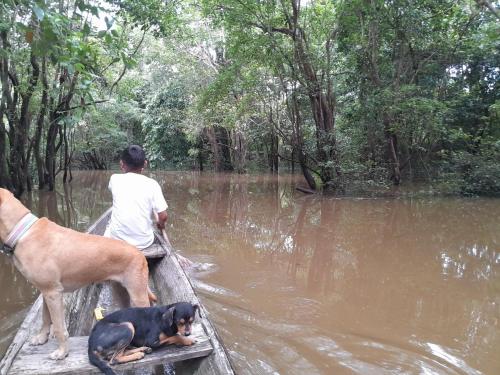 człowiek i pies na łodzi w wodzie w obiekcie HOSPEDAJE NAI-CHAMBIRA w mieście Santa Sofía