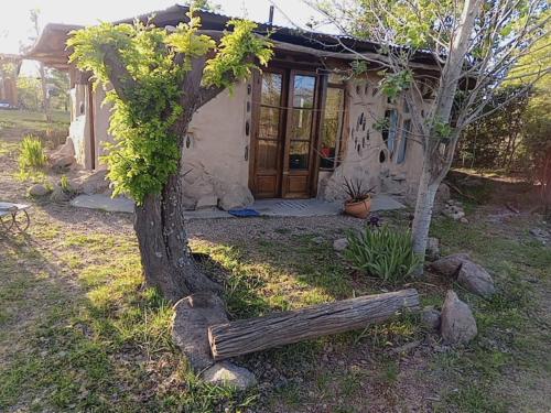 a small house with a tree in front of it at Casa Madre in Villa Yacanto
