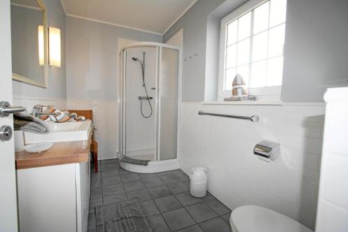 een badkamer met een douche, een toilet en een wastafel bij Kiebitz - Osterweg 43, App 2 in Wenningstedt