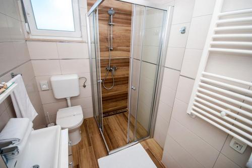 a small bathroom with a shower and a toilet at Villa Manuela near Medulin with private pool only 500 meters from sea in Banjole