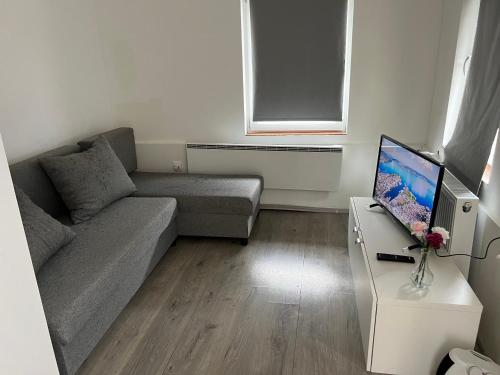 - un salon avec un canapé et une télévision dans l'établissement T8 BUDGET 2 Bedroom+Living room Apartment @ agglomeration Taplanszentkereszt, à Szombathely