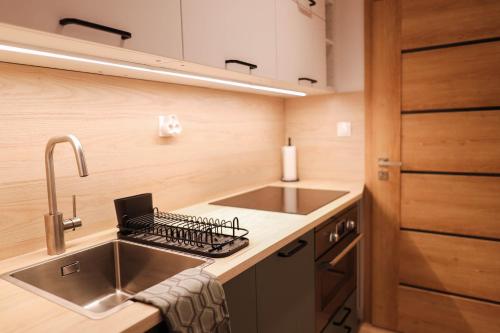 eine Küche mit einer Spüle aus Edelstahl und einer Theke in der Unterkunft Forest View Apartment in Jáchymov